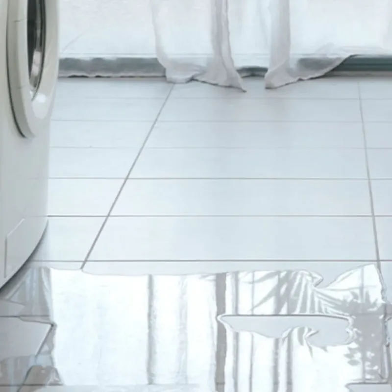 Appliance Leak Cleanup in Liberty Hill, TX