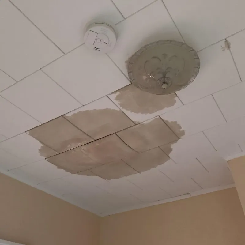 Ceiling Water Damage Repair in Liberty Hill, TX