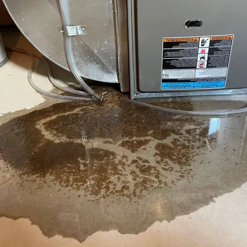 Pipe Burst and Leak Restoration in Liberty Hill, TX